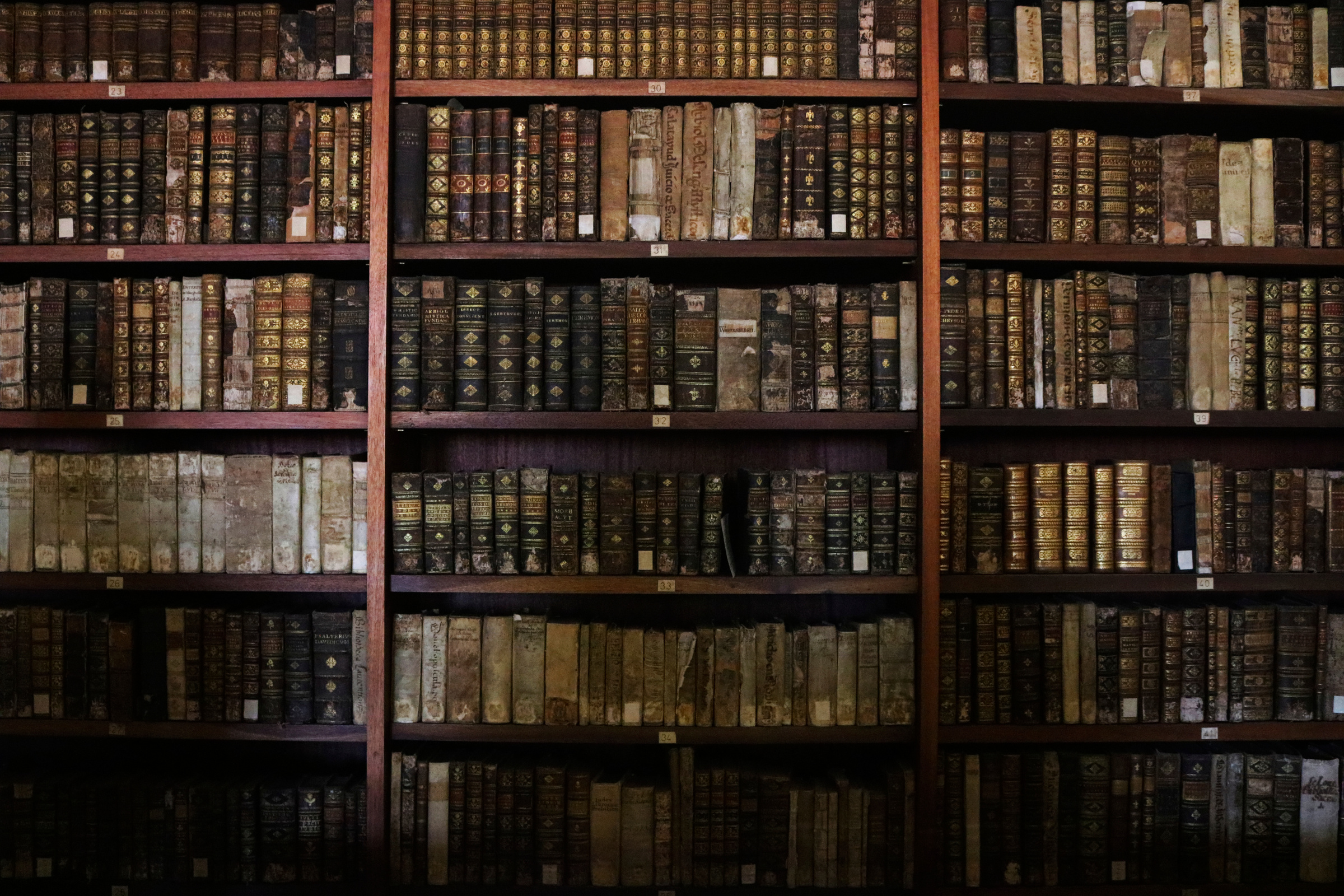 Old books organised in a library bookshelf.